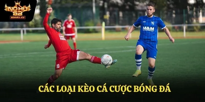 Các Loại Kèo Cá Cược Bóng Đá - Mới Nhất Cho Tân Thủ